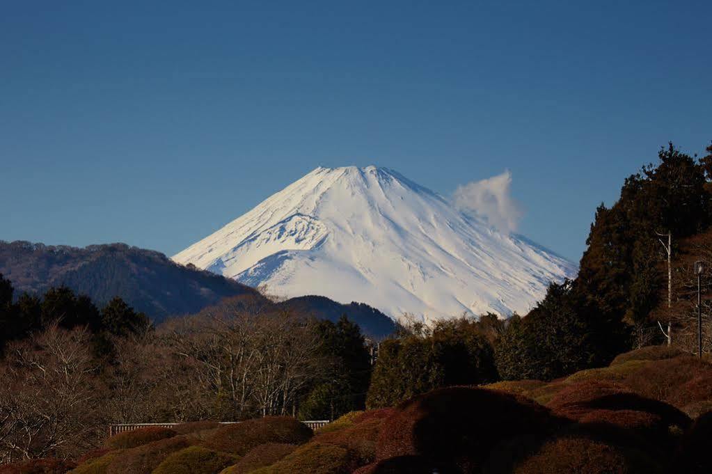 小田急山酒店 4* 箱根