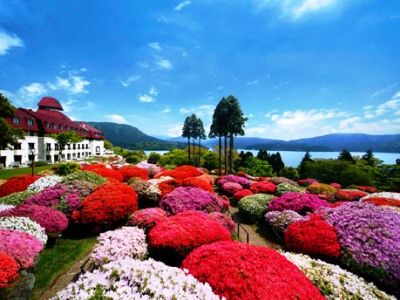 Odakyu De Yama Hakone