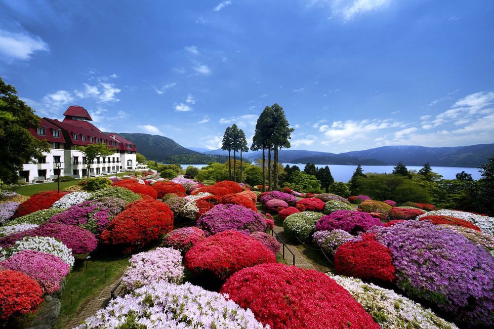 Odakyu De Yama Hakone